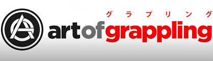 Fushida Icon Gi Review 1 Year Later Artofgrappling