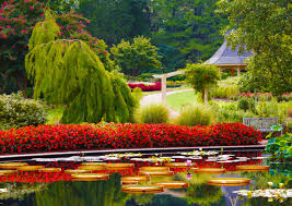 Huntsville Al Botanical Garden In 2020 Huntsville Botanical Gardens Botanical Gardens Aquatic Garden