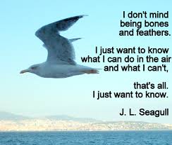 Quote Jonathan Livingston Seagull Google Zoeken Jonathan Livingston Seagull Quotes Jonathan Livingston Seagull Richard Bach Quotes