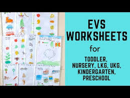 daily practice evs worksheets for toddler nursery lkg ukg kindergarten preschool part 3