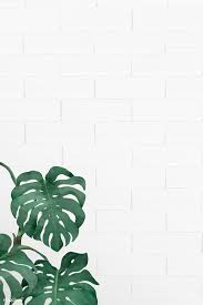 Download Premium Vector Of Blank Monstera Leaves Frame Vector 1208592 Leaves Wallpaper Iphone Monstera Plant Wallpaper