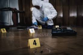 We did not find results for: Crime Scene Markers And Forensics Expert Collecting Blood Sample In Background Analyze Criminal Investigation Stock Photo 255959972