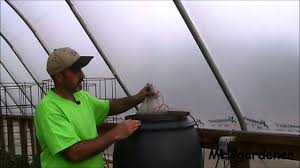 He was the only one who didn't go with buccelati when he decided to betray the boss and we never heard from him again, when i was reading it i expected to see him. 24 7 Compost Tea Youtube