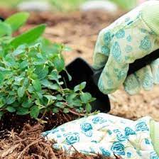 Check spelling or type a new query. Buy Garden Maintenance Products Supplies Online