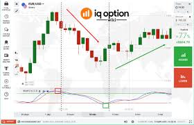 An islamic forex account is a regular forex trading account minus the interest fees. Crucial Forex Trading Lessons I Ve Learned After 10 Years Of Failure Iq Option Wiki