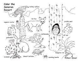 Select from 35657 printable coloring pages of cartoons, animals, nature, bible and many more. Scorching Beauty Of Deserts 17 Deserts Coloring Pages Free Printables