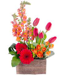 Delray beach's beautiful beaches, fertile soil and inexpensive land attracted many blacks in the south who worked on florida's railroads and phosphate mines. Delray Beach Florist Delray Beach Fl Flower Shop Greensical Flowers Gifts Decor