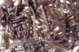 Image result for Stolzia heiligenthalii