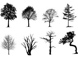 Free vector of an oak tree or birch silhouette on gradient backdrop, cool stock footage for your botany, flora, wood, outdoor landscape, spring, summer, fall, autumn nature graphics. Vector Trees Pack Free Vectors Ui Download