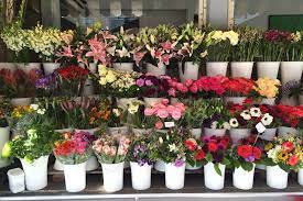 Flower delivery san francisco, ca is ready with its amazing collection that will serve everyone's sending gift purpose instantly. 10 Best Florists In San Francisco For Fresh Bouquets Or Delivery