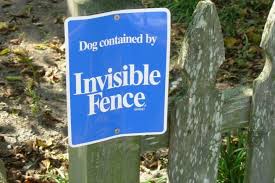 Earlyhights underground electric outdoor dog containment fence system,5 acre range 500 ft in ground wire, small, medium, or large dogs over 5 lbs 3.5 out of 5 stars 188 $120.99$120.99 get it as soon as fri, sep 11 Before Installing An Invisible Dog Fence Consider These Reasons Not To Get Electric Dog Fences The First Time Dog Owner Guide
