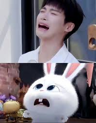 Day 6: Abu for sure. He's so cute 😍