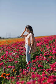 Top things to do in flower fields of carlsbad. Carlsbad Flower Fields Thrifts And Threads