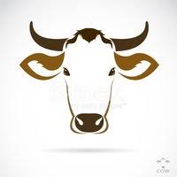 Please download image via download png button. Vector De La Imagen De Una Cabeza De Vaca Vector