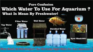 Which Water To Use For Aquarium What Is Mean By Freshwater Tapwater Vs Wellwater Youtube