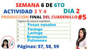 We did not find results for: Semana 6 Dia 3 De 6to Del Cuadernillo 5 Actividad 5 Y 6 Produccion Final Paginas 59 Y 60 Youtube