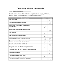 Utilize time successfully and efficiently. Comparing Mitosis And Meiosis Worksheet