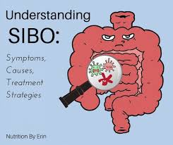 Pin On Sibo