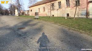 Czech Hunter 690 (John Darnall) - Czech Hunter