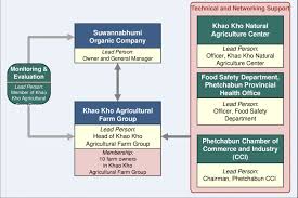 Figure C 1 Organizational Chart Of Khao Kho Organic