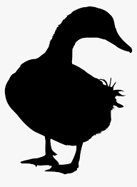 Nordic minimalis hitam putih super kelinci hewan kartun framed via id.aliexpress.com. Duck Goose Silhouette Vector Graphics Image Gambar Bebek Animasi Hitam Putih Vector Hd Png Download Transparent Png Image Pngitem