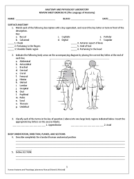 The anatomical position is a standing position, with the head facing forward and the arms to the side. Anatomical Position Worksheet Anatomical Terms Of Location Human Body