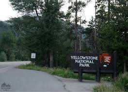 If you're taking a road trip to yellowstone, you'll want to check out our hotels and cabins on the road section plus our hubs about grand teton, glacier and mount rushmore. 6 Awesome Places To Stay In Yellowstone National Park Glamper Life