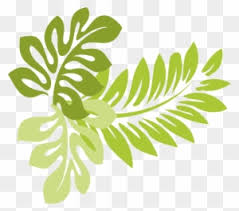Find high quality palm leaf clipart, all png clipart images with transparent backgroud can be download for free! Tropical Leaves Clipart Transparent Png Clipart Images Free Download Clipartmax