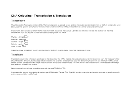 Dna Coloring Transcription And Translation Answer Key Transcription And Translation Dna Transcription And Translation Transcription