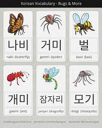 Check spelling or type a new query. Korean Names For Butterfly Spider Bee Ant Dragonfly Mosquito Korean Words Korean Language Korea Language
