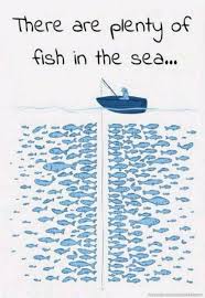 There Are Plenty Of Fish In The Sea Fish Art Fish Illustration Sea Art