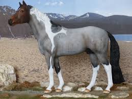 Cm Custom Breyer Traditional Snowman To Bay Roan Paint Horse Crazy Girl Custom Horse Horses