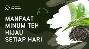 Teh Hijau Sehat: Kandungan, Waktu Terbaik Minum, dan Efeknya