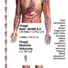 Faktanya, tapak kaki tersebut terletak di kaki gunung lampu, tapaktuan, aceh selatan. Nabi Adam Dan Misteri Telapak Kaki Umur 200 Juta Tahun