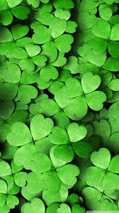 Irish four leaf clover aesthetic. Four Leaf Clover Wallpapers Top Free Four Leaf Clover Backgrounds Wallpaperaccess