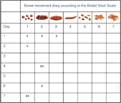Image Result For Bristol Stool Chart Pdf Bristol Stool Bristol Stool Chart Bowel Movement Chart