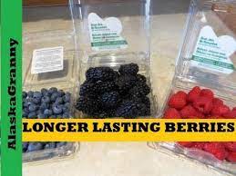 Fill a measuring cup with 1/4 cup vinegar and 1 1/2 cup of water. Longer Lasting Berries Tips And Tricks To Make Berries Last Longer Diy Fruit Veggie Wash Youtube