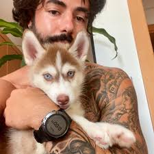 Despite my stress levels the past 14 days…. I'd like to introduce the  latest member of the Grima family ! LUNA 🐺 💖 She came home at 9.5 weeks  and is now