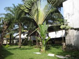 Photos, address, and phone number, opening hours, photos, and user reviews on yandex.maps. Datei Inep Bissau Jpg Wikipedia