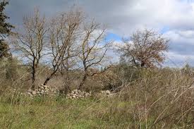 Ekkor megérkezett a pályára vámos petra, hogy a csapat átálljon a háromirányítós szisztémára, de a félidő hajrája így is az. Properties Crete Island