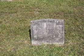 Lee Strother (1883-1950)