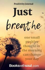 Amazon Com Positivity Journal Just Breathe One Small Positive Thought In The Morning Can Change Your Day 9781949325249 Soul Books With Books The right quote has the capability to transform your mood completely, from a negative to positive one. positivity journal just breathe