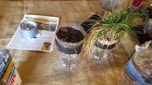 What is a rain garden model. Rain Garden Model Demonstration Youtube