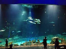 aquarium im tierpark hagenbeck tierpark hagenbeck tierpark ausflug