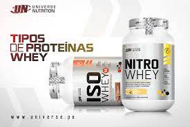 Proteína aislada VS proteína concentrada - Universe Nutrition