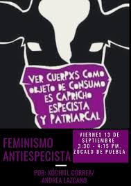 A queima das bruxas e o incêndio feminista. Feminismo Antiespecista Puebla Home Facebook