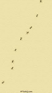 Cool wallpaper wallpaper backgrounds iphone wallpaper phone backgrounds ocean wallpaper simple backgrounds minimalist wallpaper cute wallpapers digital illustration. 13 Best Minimalist Wallpapers For Iphone 5 5s And 5c