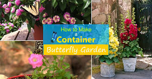 South florida flowers that attract butterflies. How To Make A Butterfly Container Garden Making A Butterfly Garden Balcony Garden Web