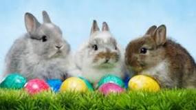 Image result for history of easter eggs and rabbits
