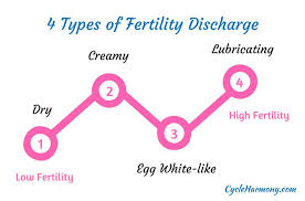 Ive read that you can. What Does Your Vaginal Discharge Tell You Cycle Harmony